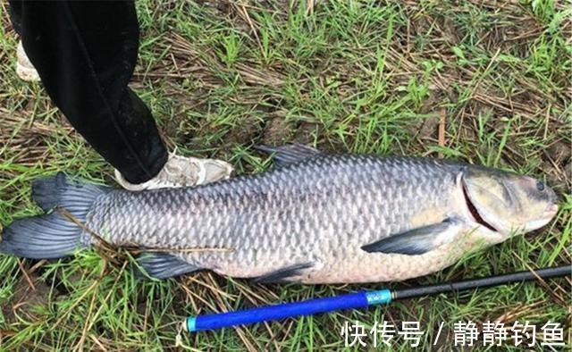 秋季钓鱼,钓位选择的变化很大,这几点莫忽视