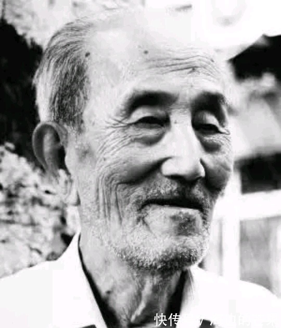 画品$国画家｜人品、画品皆高逸，张朋大写意花鸟画