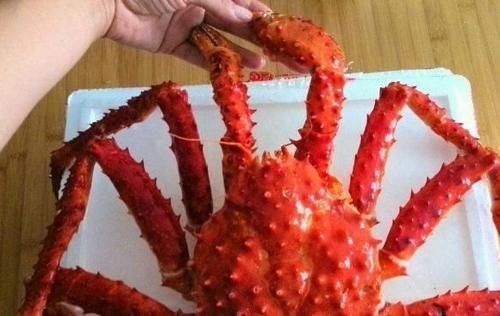 帝王|帝王蟹为什么不吃蟹身只吃腿？原因很简单，吃不了亏的！