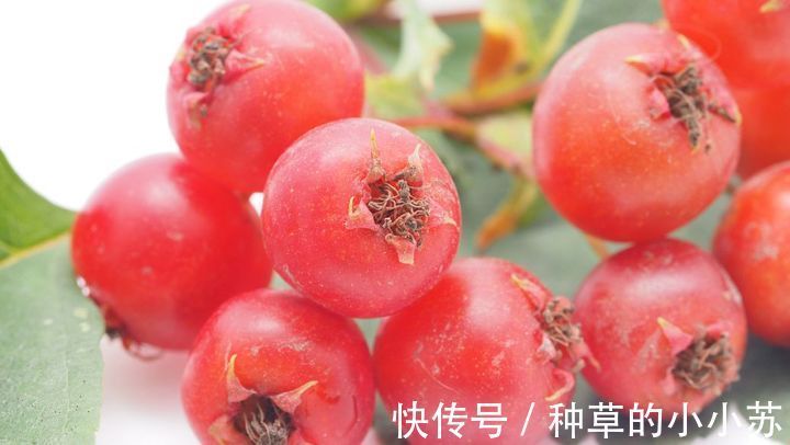 添加|洗面奶没选对会“烂脸”?真正的氨基酸洗面奶是这几款,别被骗了