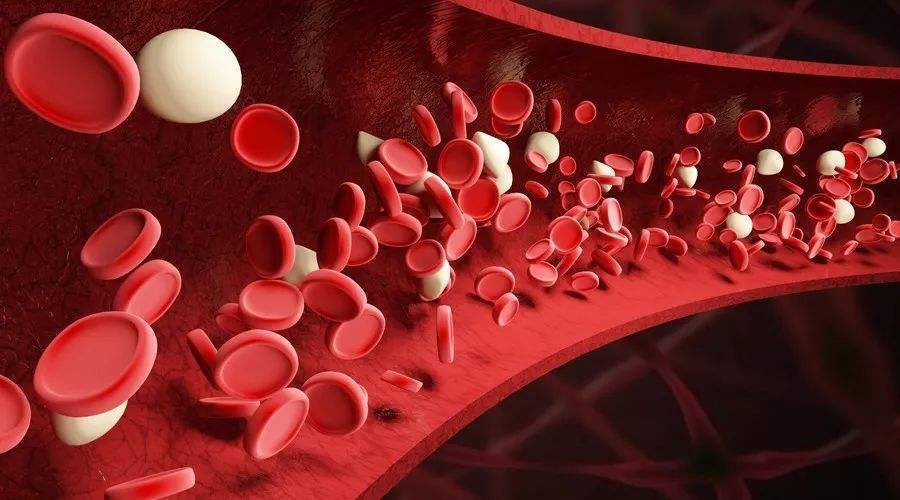 男性|男性睡前“生嚼”5粒枸杞,不出半月,3件好事可能会悄悄“降临”