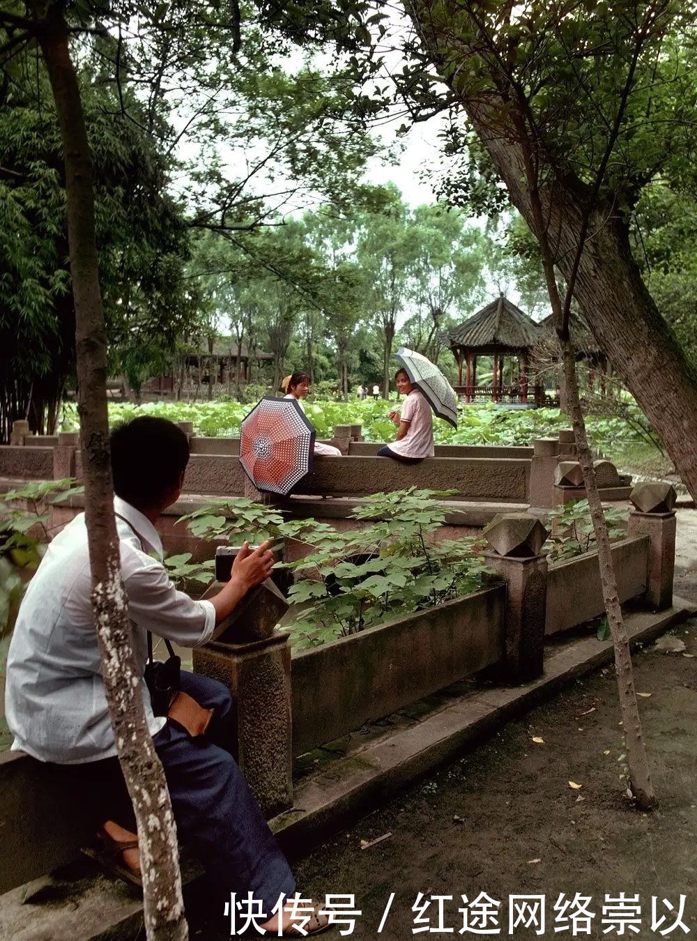 怀旧|1981年杭州西湖，怀旧老照片