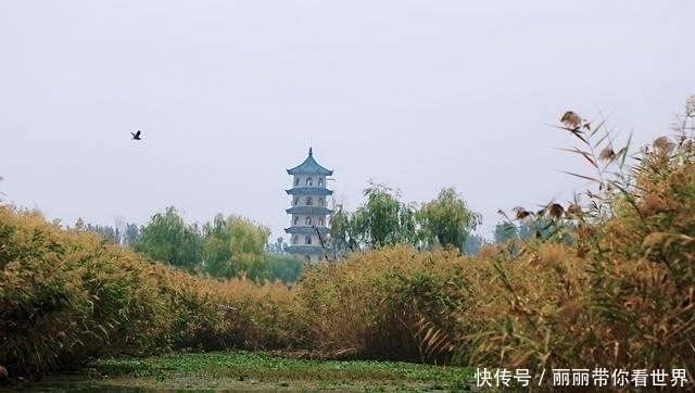 苏北第一湖，有着世界最大的水上芦苇迷宫，入选吉尼斯纪录