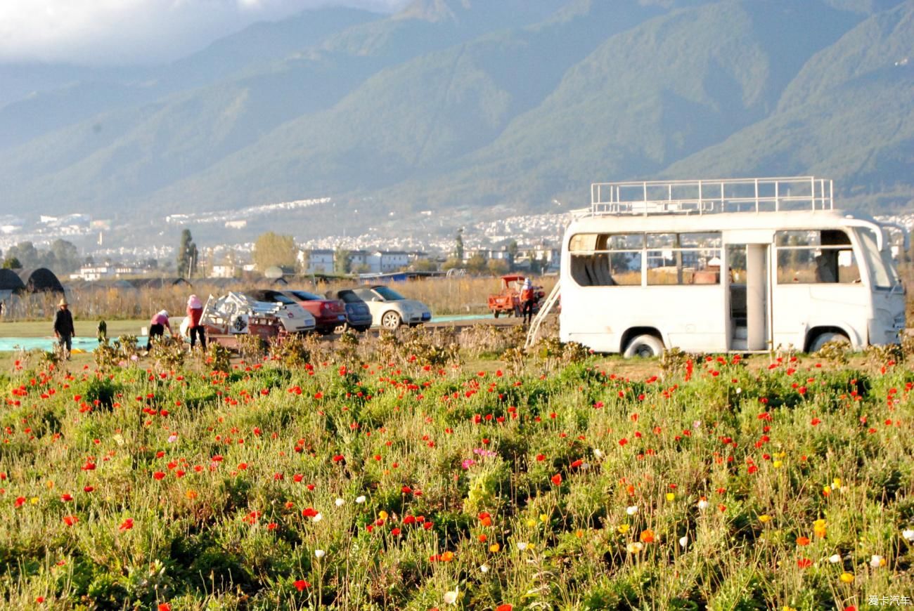 陶然|到陶然田舍和云起网红地旅拍