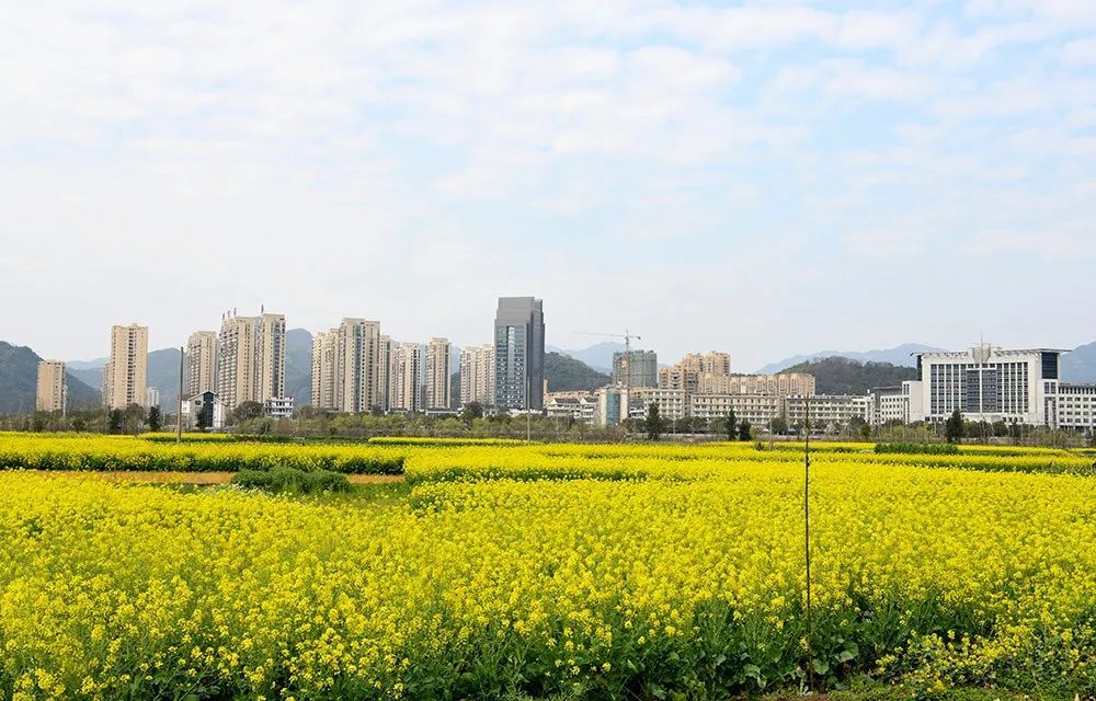 全域旅游示范区|890处监控、124个免费Wi-Fi...永嘉总投资4400万元建设！