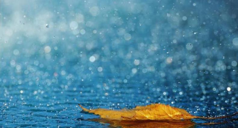 贾岛|诗人名气不小却无代表作,被人放鸽子无聊时写一首,却成千古名作