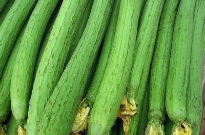 丝瓜|常吃丝瓜对身体好,但丝瓜不能与一物同吃,爱吃的人得忌口了!