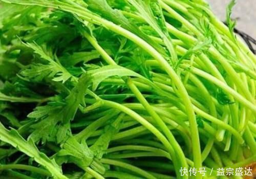 克星|此物是痛风的“克星”,每天吃点,可降低体内嘌呤含量,预防痛风