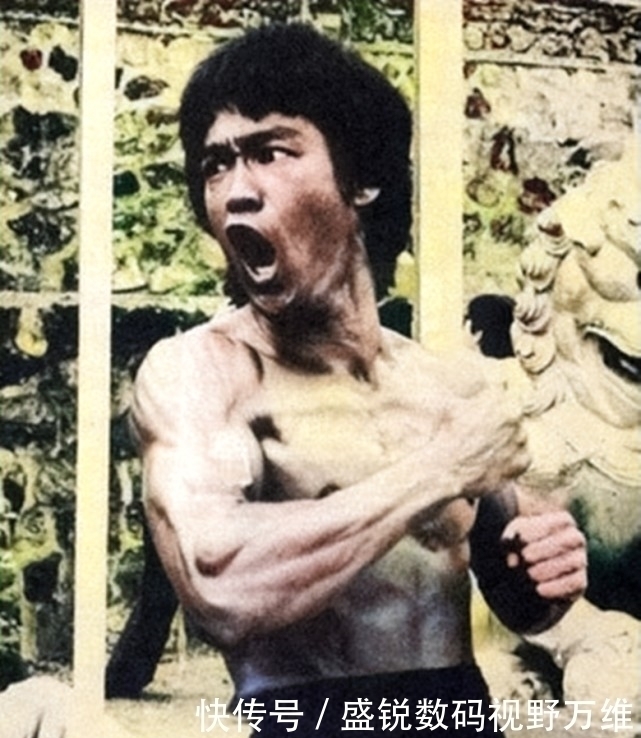 叶问|罕见彩照揭秘李小龙到底强在哪?身体每一处都是“超级武器”