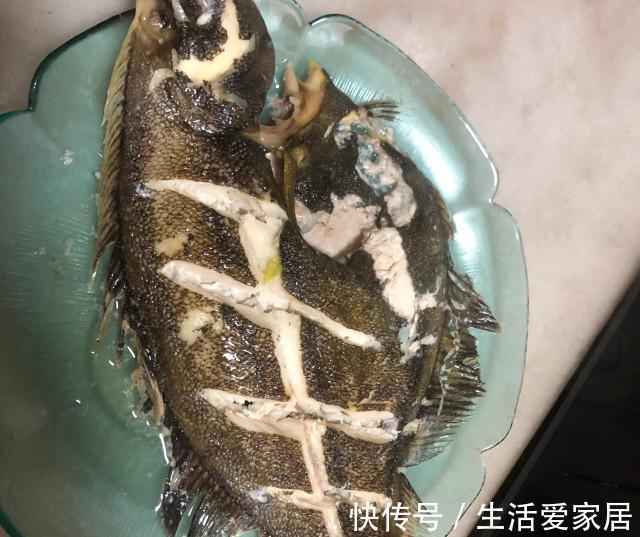 多宝鱼|清蒸多宝鱼,肉质鲜嫩,一点都不腥