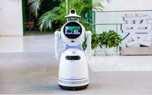 WW 嘉年华