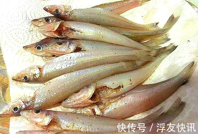 煎鱼时,下锅前多做这两个步骤,鱼肉不散、不破皮,比刷姜片管用