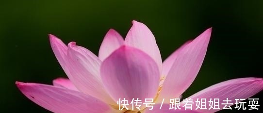 桃花缘|2021年，桃花缘高涨，旧情难忘，梦与君同，为爱执着重新坠入情网