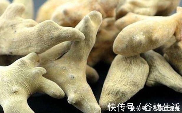 中药|一味中药治牙痛,不用吃,一涂就好,百治百效,妙不可言