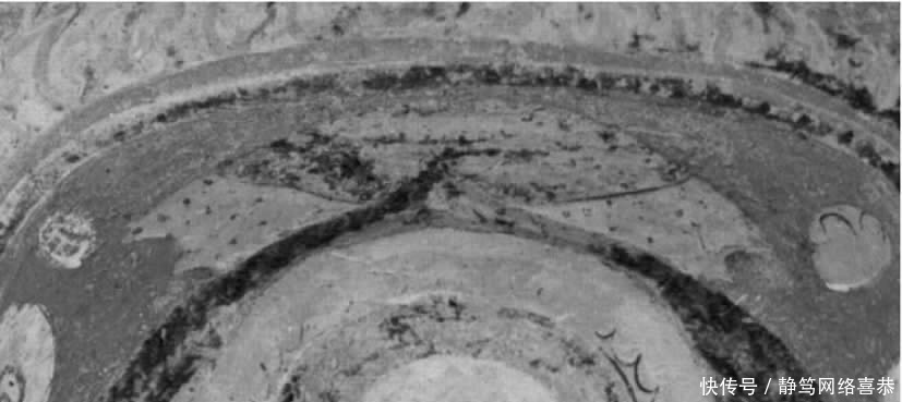 依据|莫高窟壁画中的“盖”长什么样?