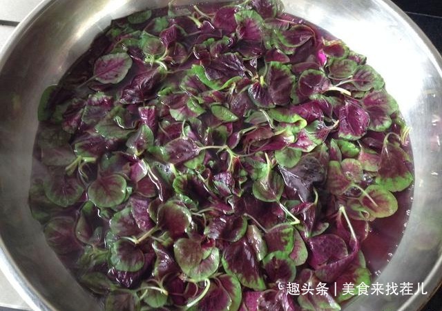 红苋菜|小暑过后,这菜被称为“金不换”,3元1把,清热解暑气,要常吃