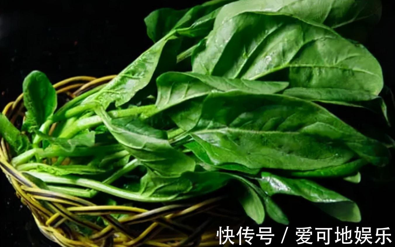 白萝卜|胃不好能吃橘子吗？医生提醒：胃不好的人，可以常吃5种养胃食物