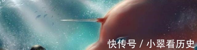 灵婆|《大鱼海棠》为什么女主会被无数观众厌恶,到底做错了什么!