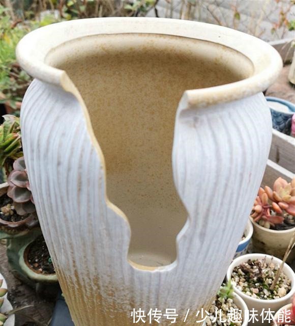 他养多肉,花盆“砸”破才种,长出来的多肉比老桩美,太有创意!