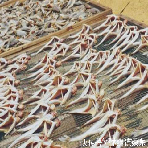 男人到50岁,鸡鸭少吃,多食下面食物营养丰富,老少皆宜