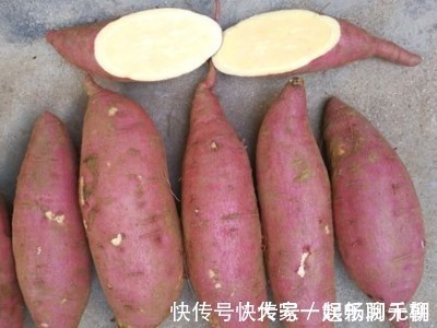 红薯|女性不想老的快,红薯和此物配,皱纹悄悄溜走,瘦出好身材