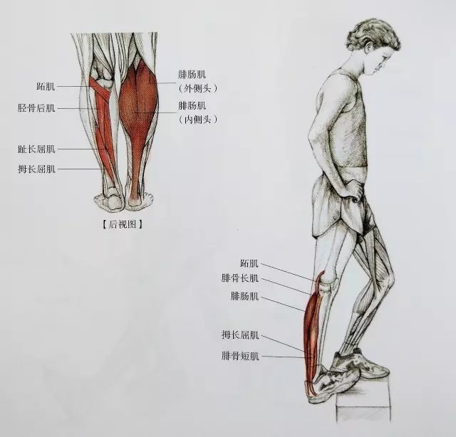 起跑式|居家运动，这套全方位小腿拉伸大法请收好