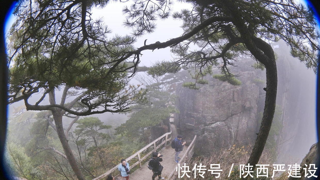 黄山|薄云浓雾游黄山宛若仙境【严建设】