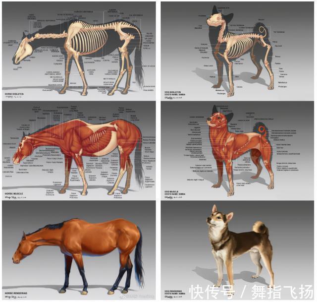 米雷|90后小姐姐“徒手动漫”,1亿网友在线催更