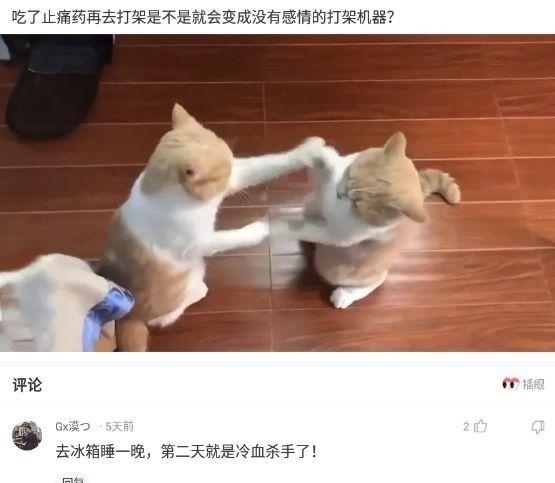 |沙雕段子:吃了止痛药再去打架,是不是就会变成没有感情的打架机器?