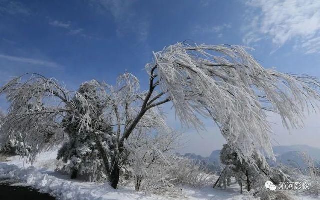 雪后王莽岭，美得不要不要的！