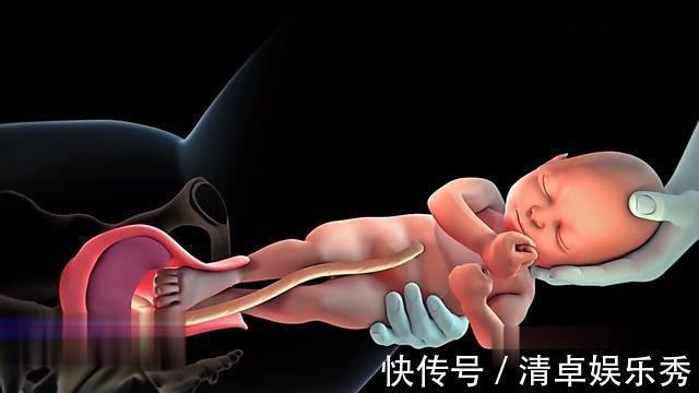 后一小时|生产后一小时内,身体都有哪些变化?感慨母爱的伟大