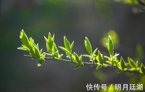 子宫肌瘤|阳化气，阴成形，春季“生阳”需做到这两点