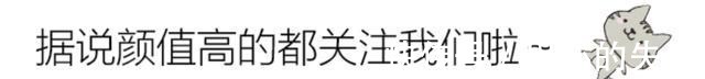 新房客|非人哉九月做午餐调研,精卫拌饭味道香,小玉吃掉“新房客”