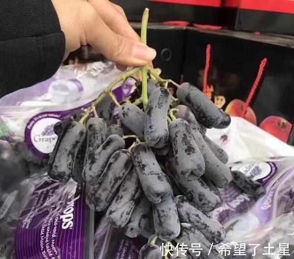 香味|院子里种点果树试试吧,寓意好,果肉软糯奶香味,甜而不腻!