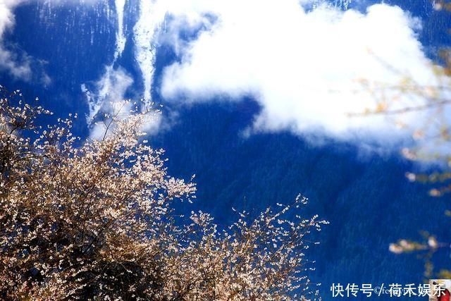 波密桃花开当桃花与雪山相遇，便成为云上仙境