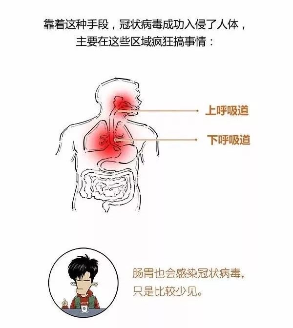 专家|【人民好医生-权威防控?】关于新型冠状病毒肺炎，专家这么说……