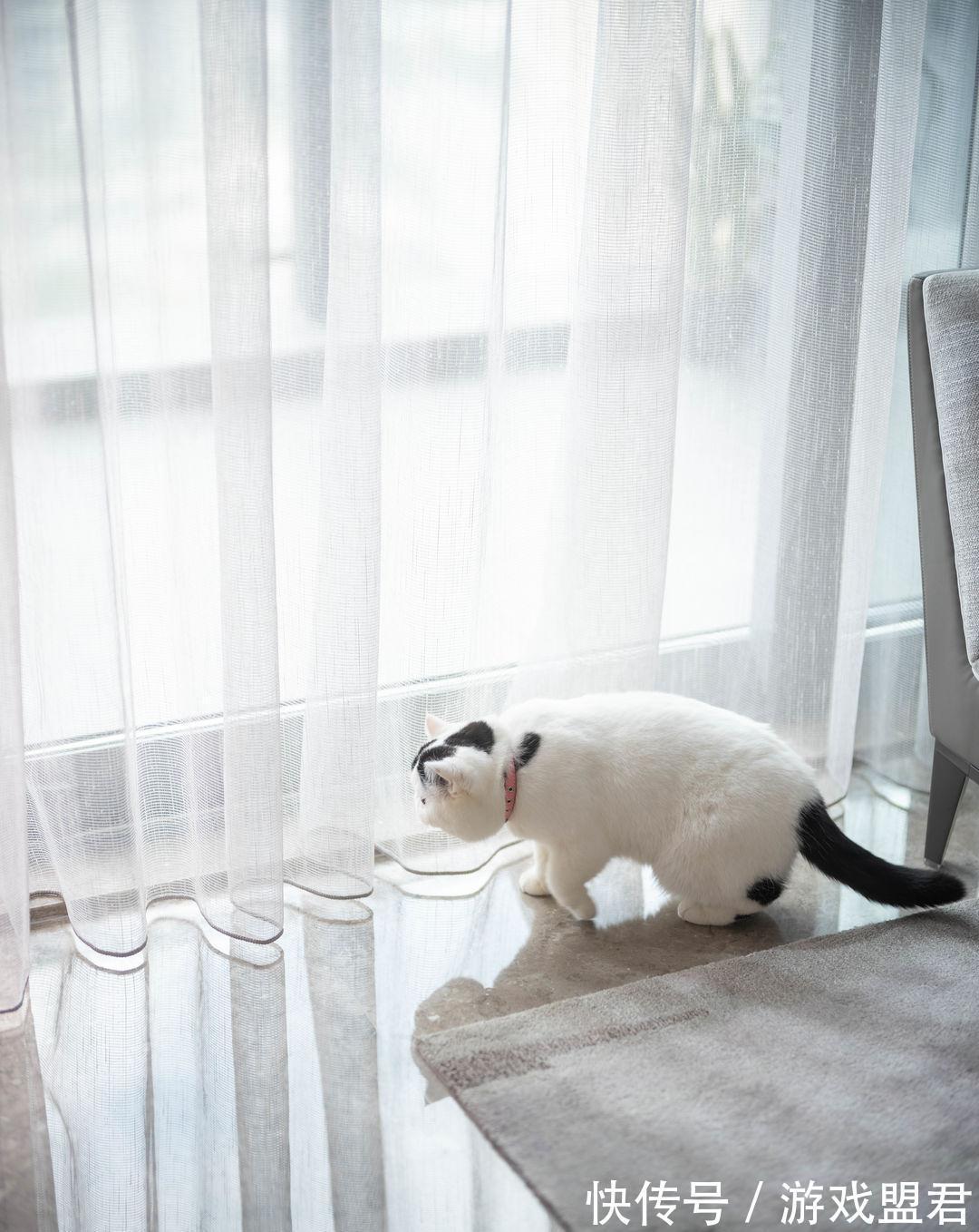 业主|回归初心,让家更显本质意义,享受舒适温馨的家居生活