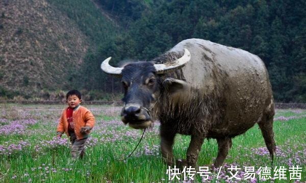 上联!上联 “奋斗一生, 只为两个铜子”, 下联太经典了