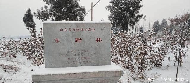 东野|中国这三大姓氏,常被误认为是日本人,你有躺枪吗!