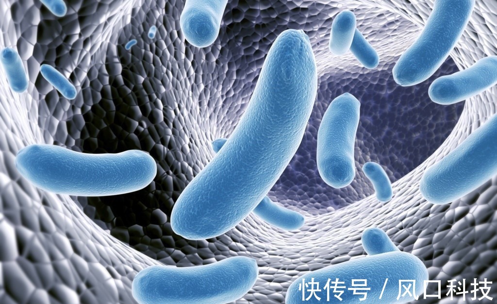 根治|结肠癌晚期无法根治,扩散多活不过两年,做这些检查早发现很重要