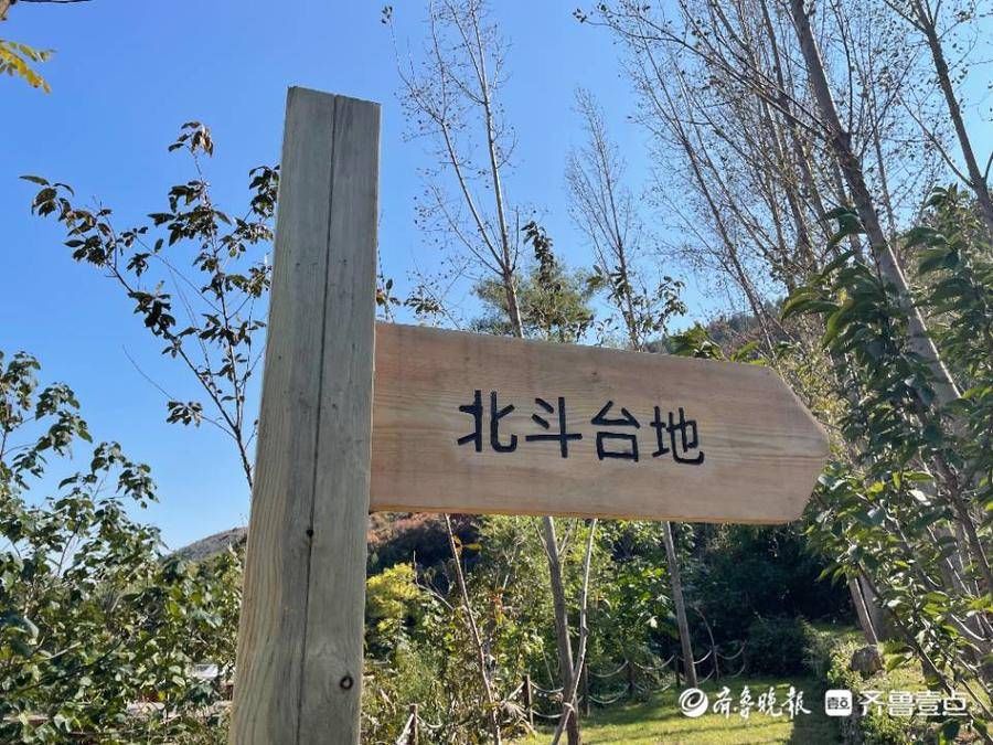 一天两场重磅活动背后的博山文旅进击|壹点观察 | 营地