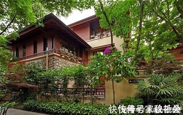 小院子|家有小院子,不要错过“3种果树”,寓意好,能观赏,还能摘果子