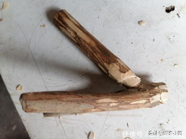 钓鱼支架还在掏钱买吗?为何不利用废鱼竿+树Y做一个,一样好用