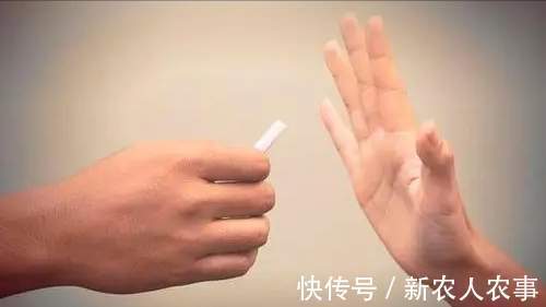 萌娃|安徽一萌娃火了,偷拿香烟分给店里的客人,网友:幼崽智商天花板