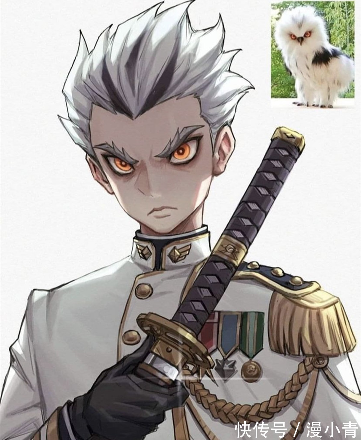 空想象|动物二次元化之后也有高颜值代表,就看画师的心情怎么样了