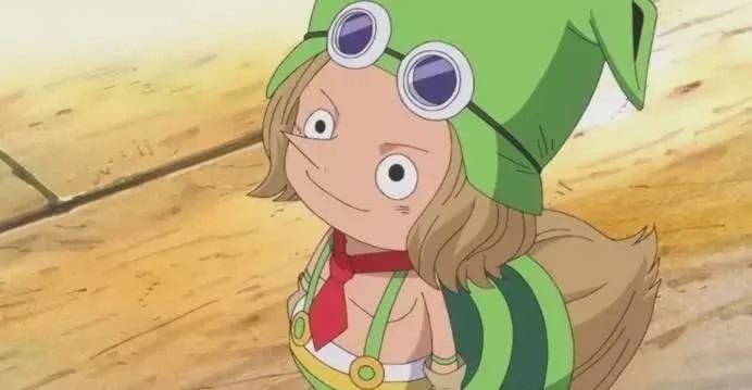 老蔡|海贼王路飞成了五皇,那他手下的队长具体都是谁呢