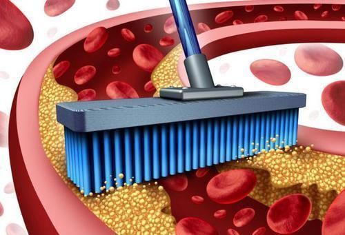 下降的情况|天然的溶栓高手找到了,不是木耳,常吃血管一路绿灯