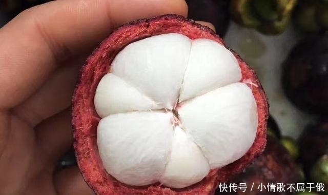 果农|买山竹,不管大小就挑“母”的,果农记住这4点,一挑一个准