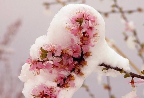 破头|爸爸姓滚,喜迎双胞胎,却为起名想破头,爷爷随口一说全家点赞