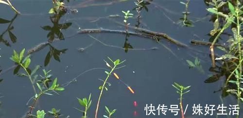 冬钓的诱鱼之道，这些技巧更容易找到鱼窝，钓大板鲫不是难事！